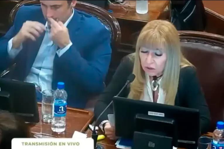 Diputado entrerriano negó haber consumido drogas durante una sesión, tras la difusión de un video - imagen de origen