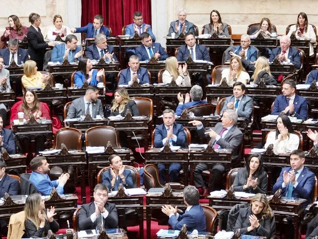 La prórroga de la Emergencia en Discapacidad llega a Diputados entre reclamos y diferencias con el Ejecutivo - imagen de origen