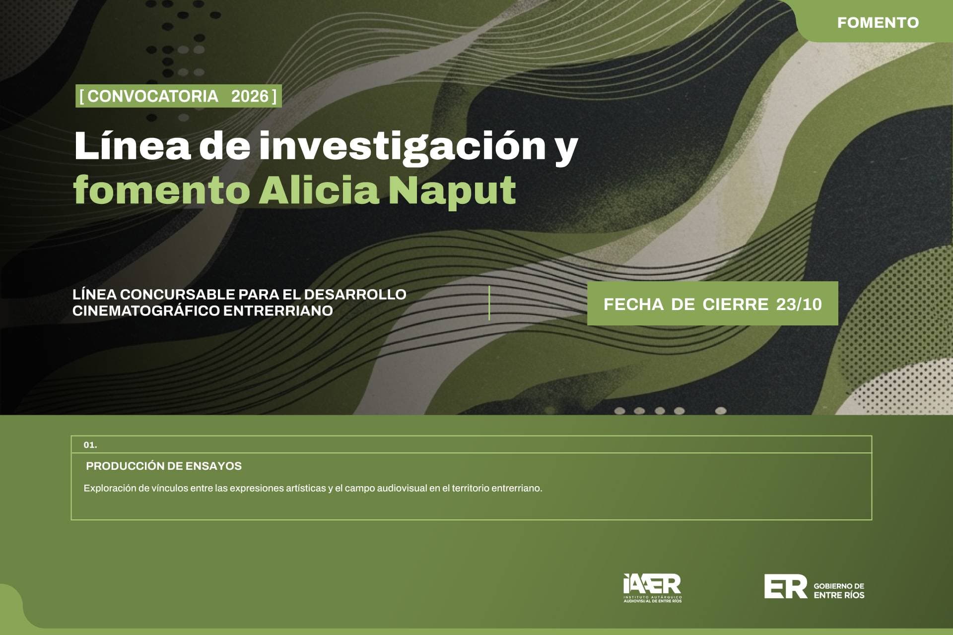 Convocatoria 2026 para la línea de investigación y fomento Alicia Naput del Iaaer - imagen del Gobierno de Entre Rios