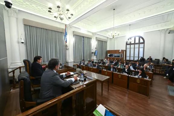 Sin el apoyo del PJ, el Senado aprobó el proyecto de alivio fiscal para comercios - imagen de origen