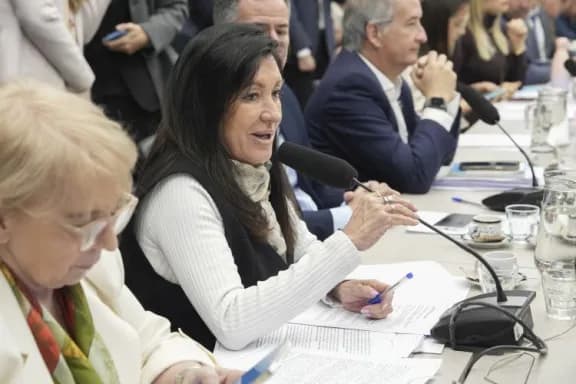 Discapacidad: El oficialismo obtuvo el dictamen de mayoría y la oposición insistirá con la prórroga - imagen de origen