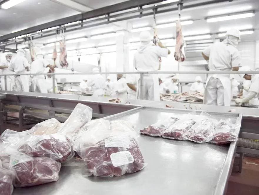 Carne vacuna: las exportaciones aceleraron en agosto y los ingresos crecieron casi 30% en un año - imagen de origen