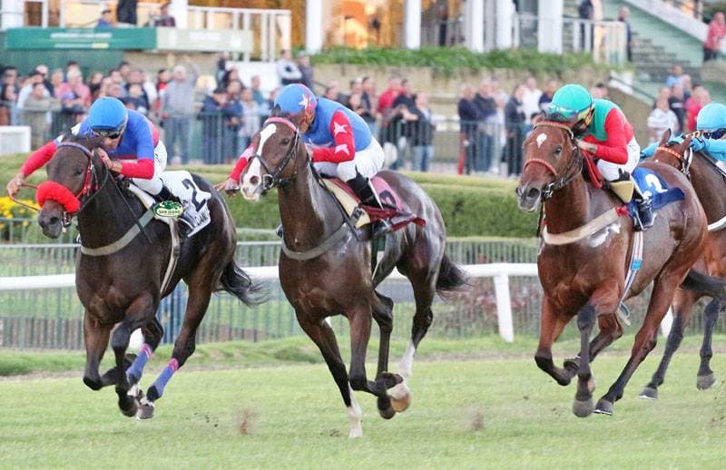 Miércoles 23: Actividad Hipódromo de San Isidro - imagen de origen