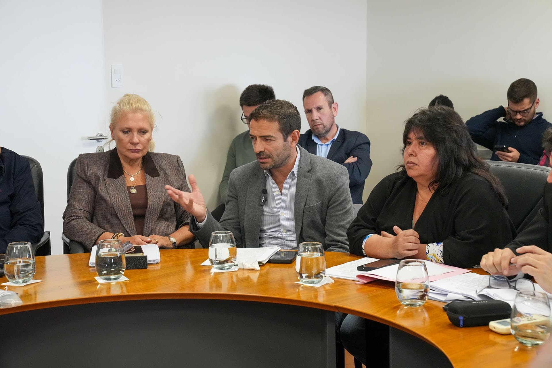 Blanzaco expuso ante el Senado el trabajo que desarrolla la provincia en materia de salud mental - imagen del Gobierno de Entre Rios