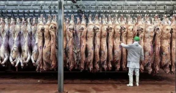 Entre Ríos perdió más de 180.000 bovinos y la faena cayó un 29,49% - imagen de origen