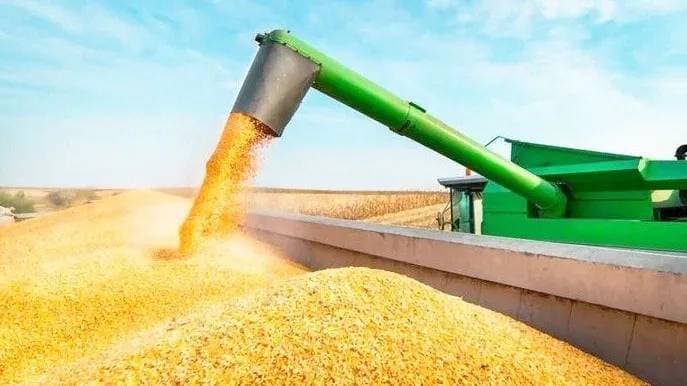 La producción de granos lleva a la actividad agropecuaria a un nuevo máximo histórico - imagen de origen
