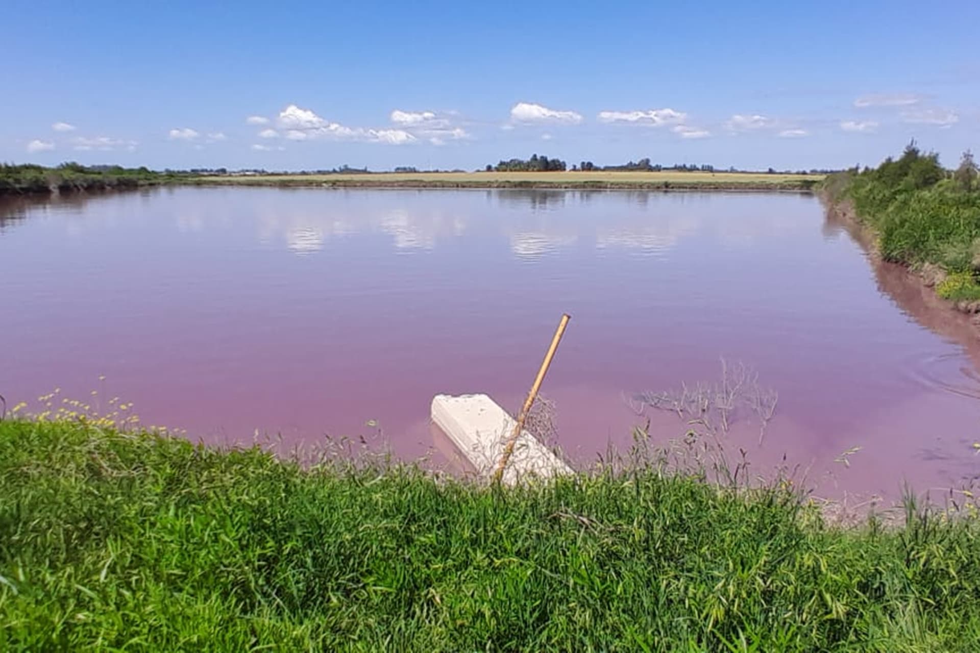 El gobierno provincial analiza el fenómeno de coloración en el arroyo Espinillo y refuerza la vigilancia ambiental en la cuenca - imagen del Gobierno de Entre Rios