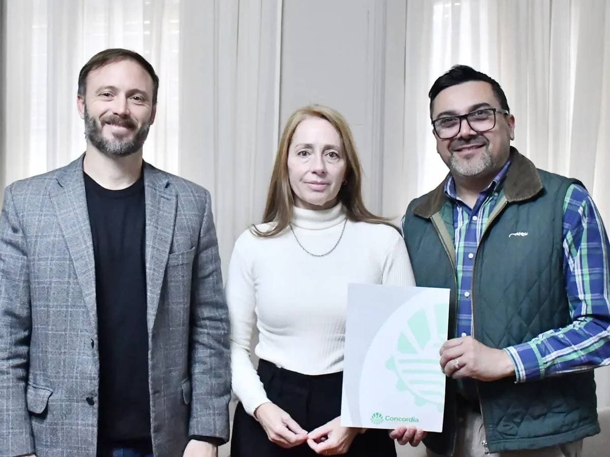 El municipio y departamental de escuelas implementarán un programa de salud integral destinado a alumnos y docentes - imagen de origen